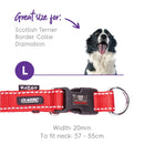 Kazoo Nylon Adjustable Collar Red