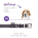 Kazoo Nylon Collar Black