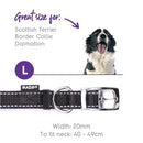 Kazoo Nylon Collar Black