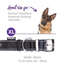 Kazoo Nylon Collar Black