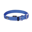 Kazoo Nylon Collar Blue