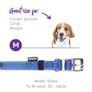 Kazoo Nylon Collar Blue