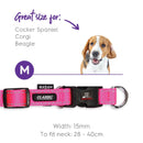 Kazoo Nylon Collar Pink