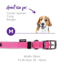 Kazoo Nylon Collar Pink