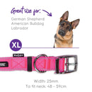 Kazoo Nylon Collar Pink