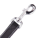 KAZOO CLASSIC NYLON LEAD