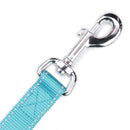 KAZOO CLASSIC NYLON LEAD