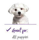 Kazoo Puppy Brush Soft