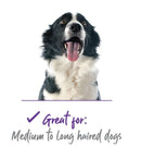 Kazoo Self Cleaning Slicker Brush Medium