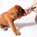 Kazoo Puppy Nail Clipper