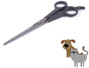 Kazoo Grooming Scissors