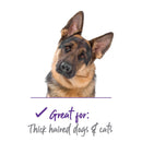 Kazoo Thinning Scissors