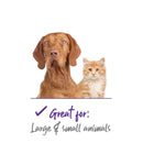 Kazoo Finishing Kit Ear & Face Care