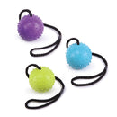 Kazoo Dog Toy Rubber Sling Ball
