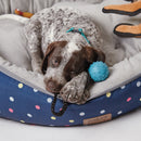 Kazoo Dog Toy Rubber Sling Ball