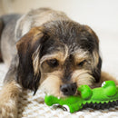 Kazoo Dog Toy Latex Crocodile