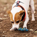 Kazoo Dog Toy Latex Snake
