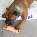 Kazoo Dog Toy Latex Silly Pig