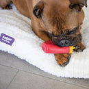 Kazoo Dog Toy Latex Fries