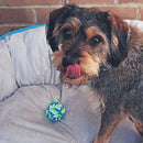 Kazoo Dog Toy Twisted Rope Knot Ball