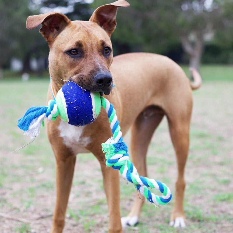 Kazoo Dog Toy Twisted Rope Sling Tennis Ball