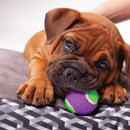 Kazoo Dog Toy Tennis Ball