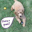 Kazoo Dog Toy Snooker Bouncy Ball Medium