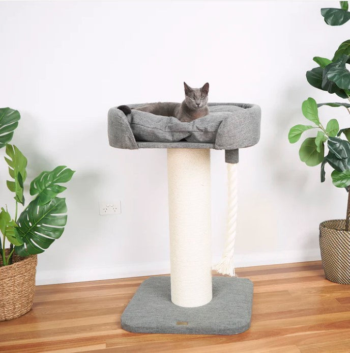 Kazoo High Sofa Bed Cat Scratch Post With Sisal Grey & Cream * Store Pick Up Or Local Delivery Only *