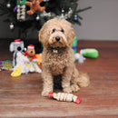 KAZOO CHRISTMAS BON BON SINGLE