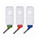 Kazoo Drinking Bottle Dwarf Rabbit 500ml