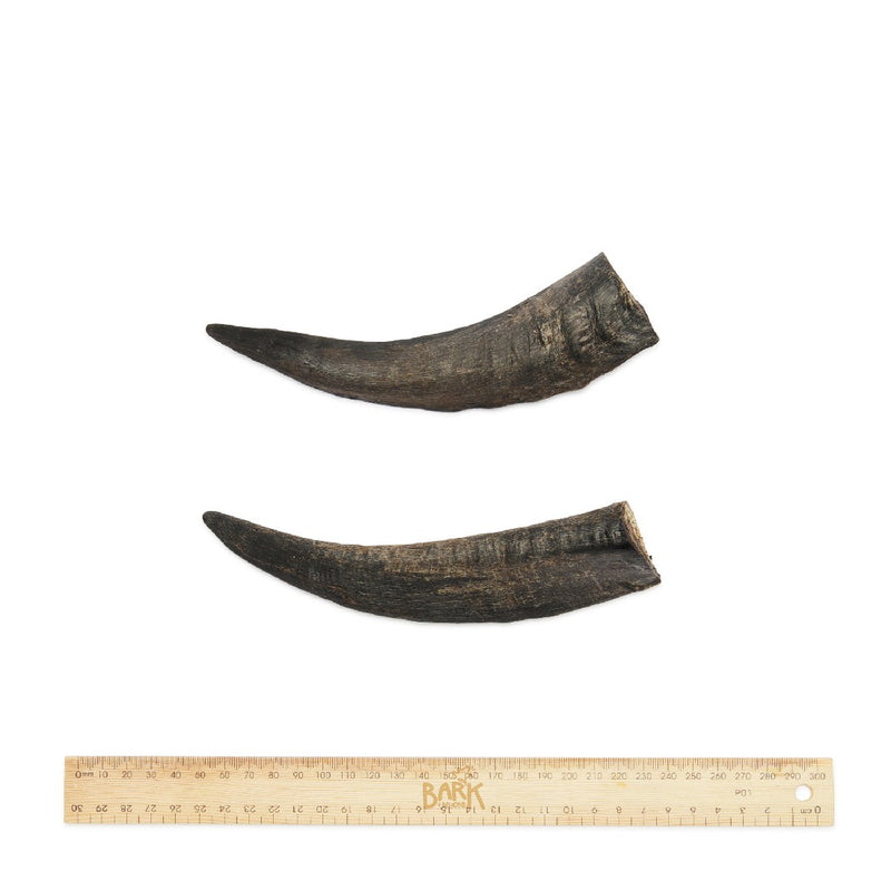 Bark & Beyond Goat Horns Dog Treats (small) 10-15cm