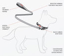 Ezy Dog Essential Lead